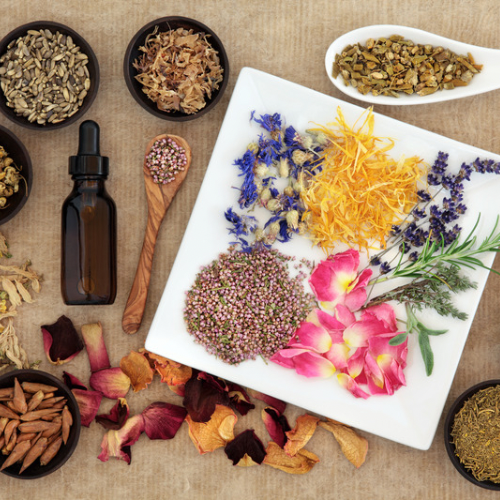 Herbs & Their Magickal Properties