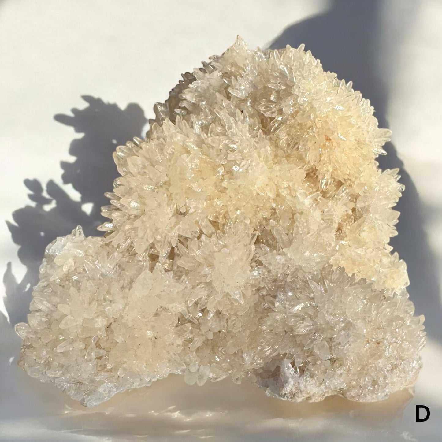 Druzy Calcite – A Sparkling Crystal of Amplification & Renewal