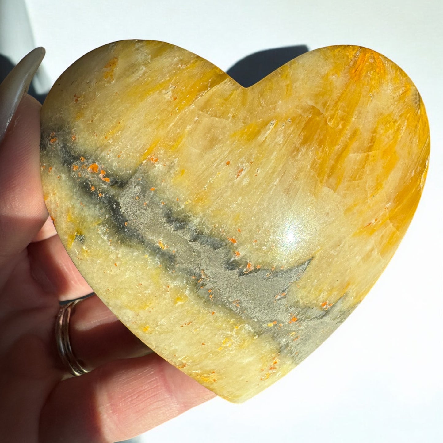 Bumblebee Jasper Hearts