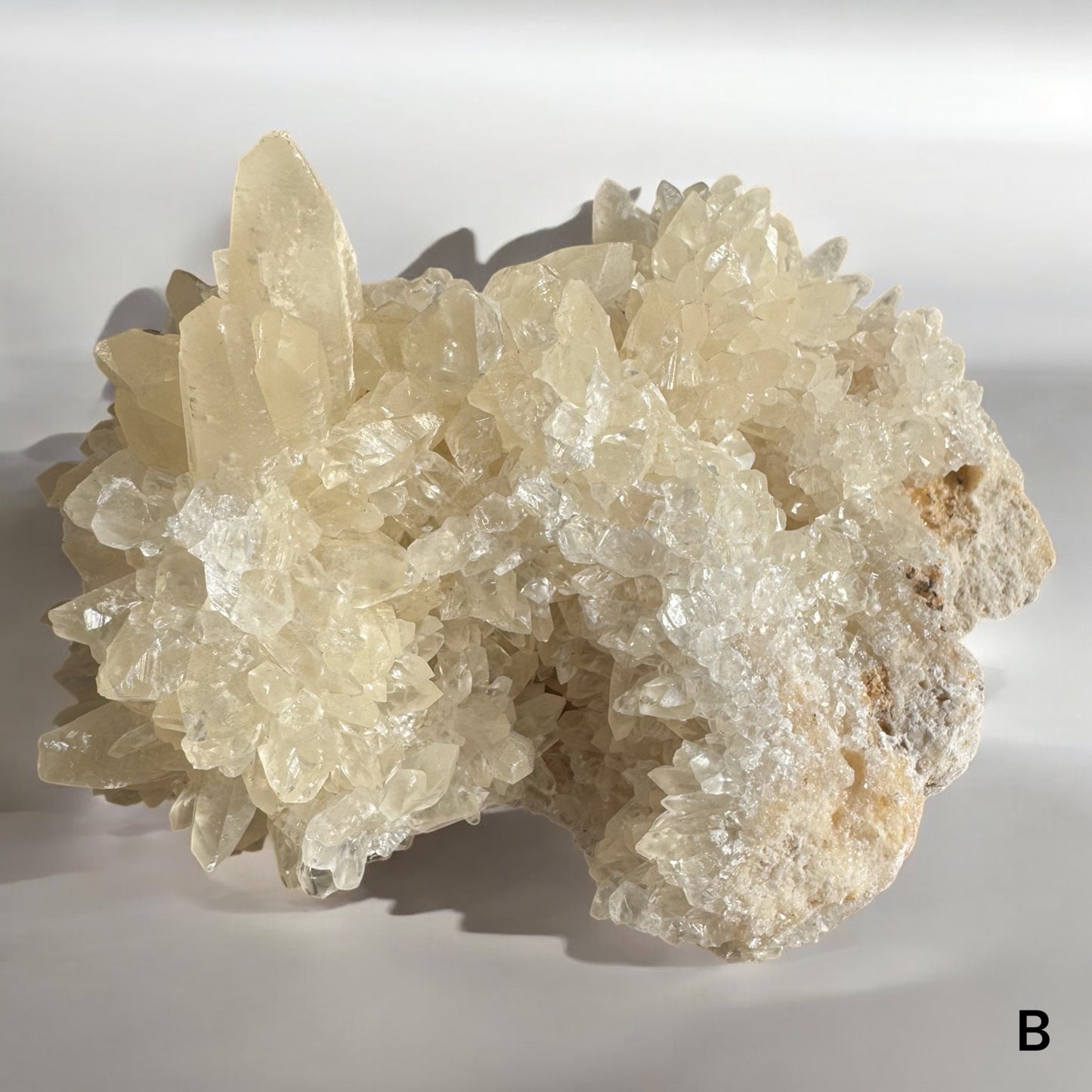 Druzy Calcite – A Sparkling Crystal of Amplification & Renewal