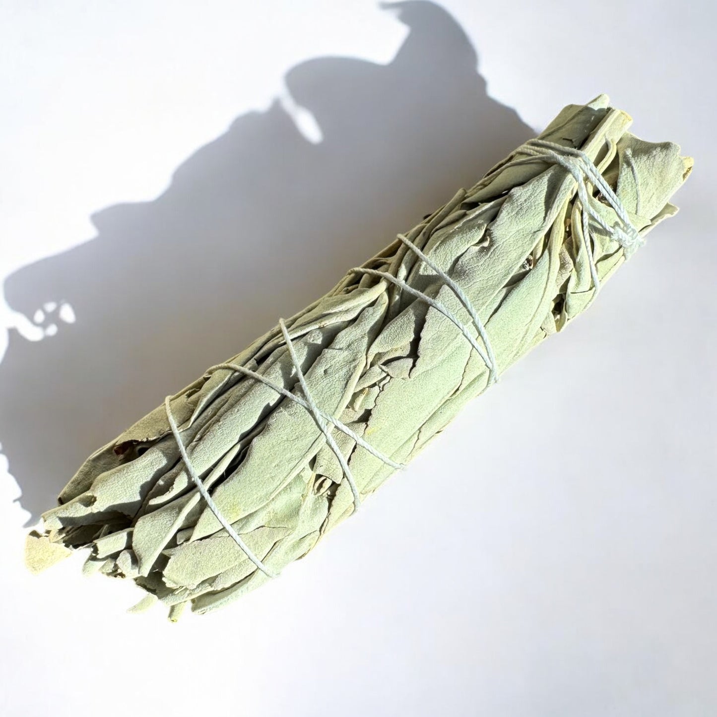 5-Inch White Sage Smudge Stick