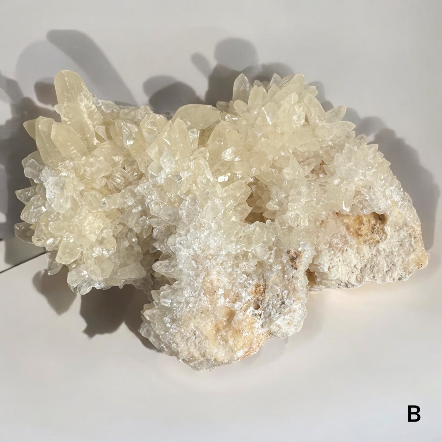 Druzy Calcite – A Sparkling Crystal of Amplification & Renewal