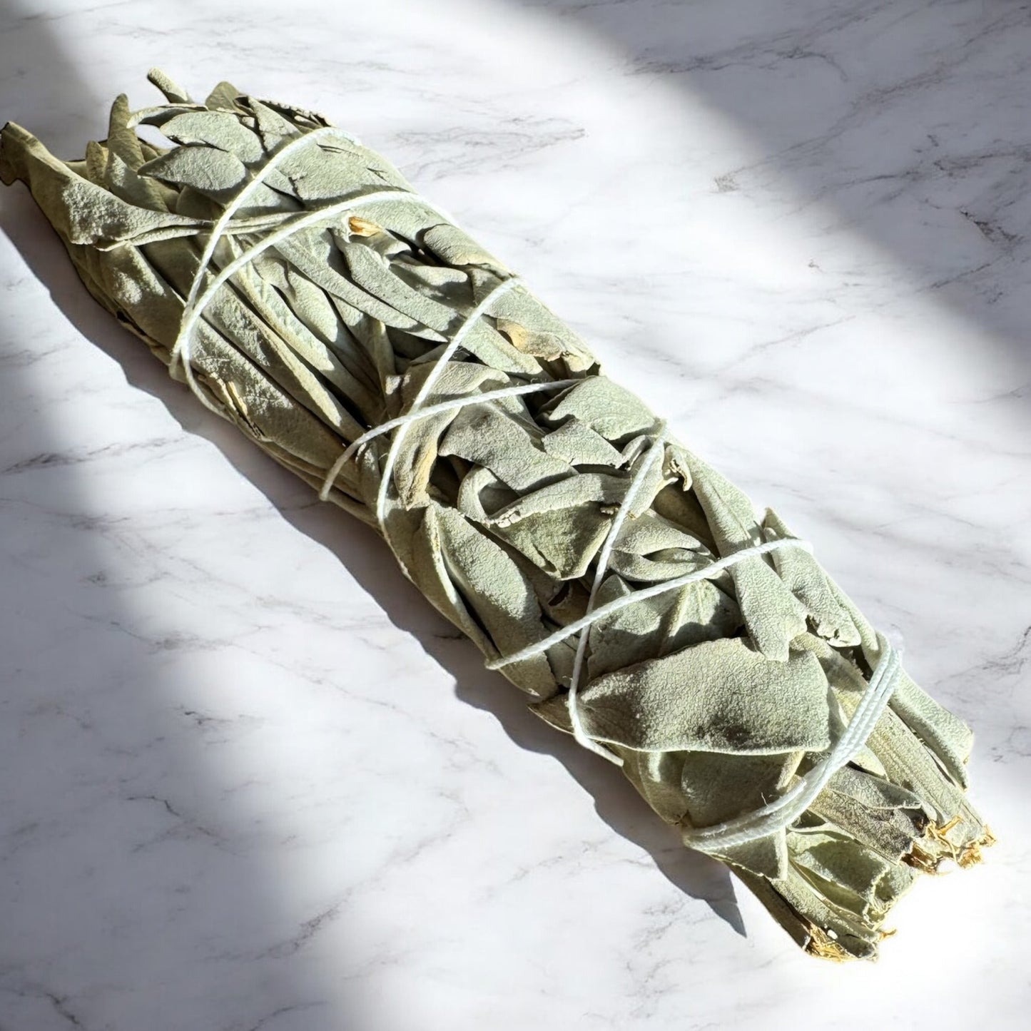 5-Inch White Sage Smudge Stick