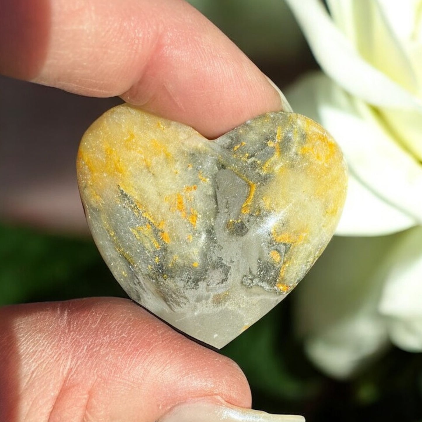 Bumblebee Jasper Hearts