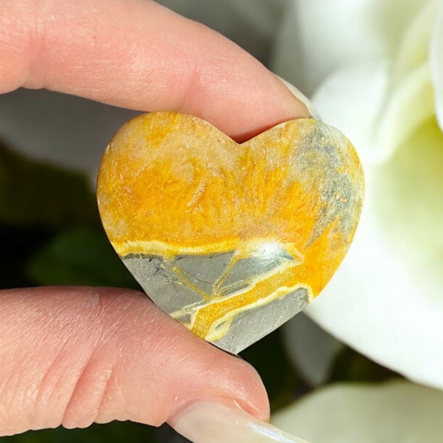 Bumblebee Jasper Hearts