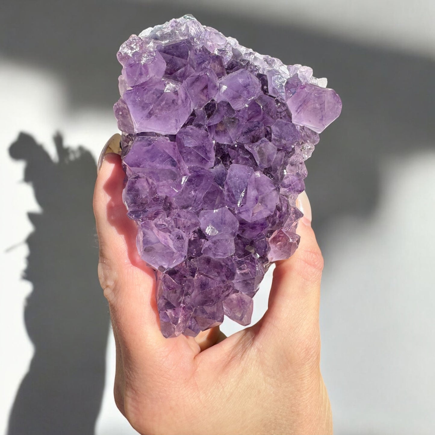Natural Amethyst Cluster – 1.5 lbs
