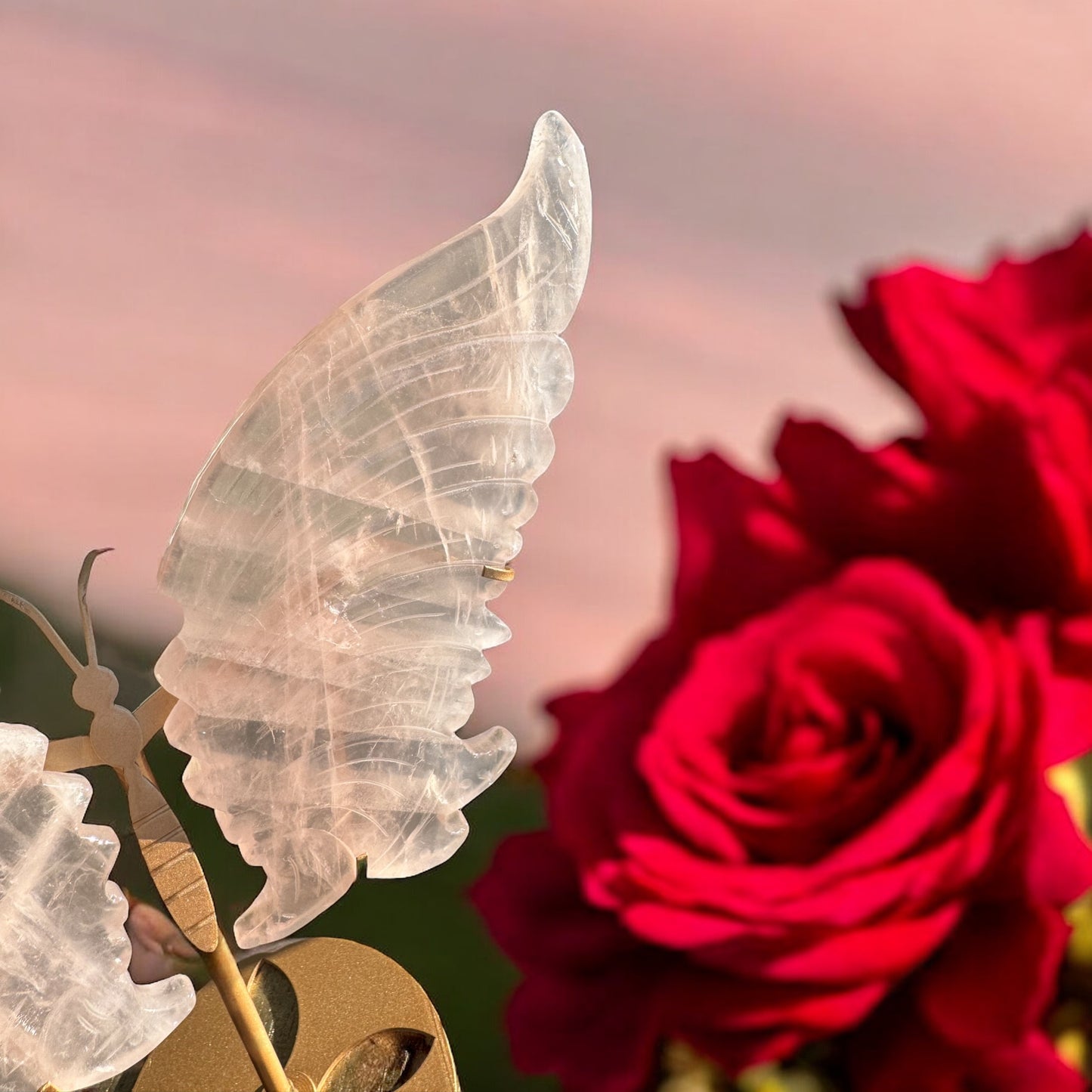 Rose Quartz Butterfly wings