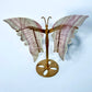 Fluorite standing Butterfly